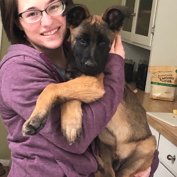 Meet your Posher, Holly - Picture 3 of 3